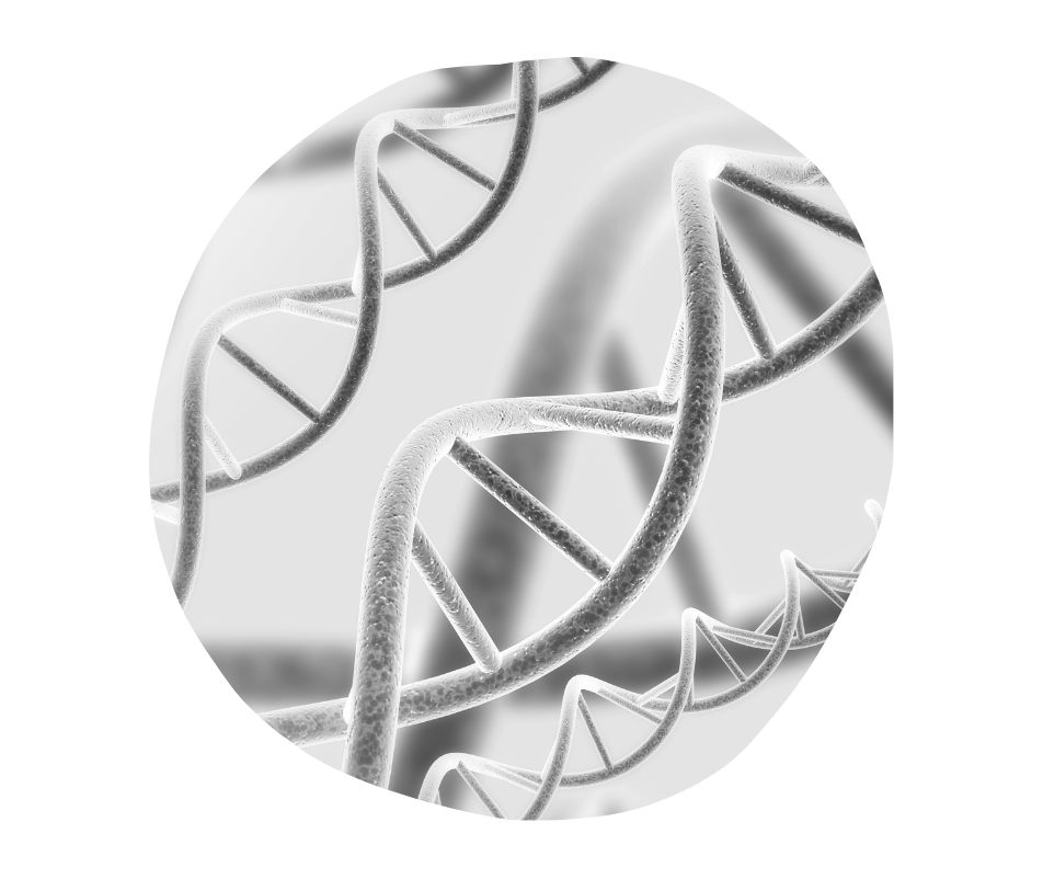 Nutrigenomix Genes DNA